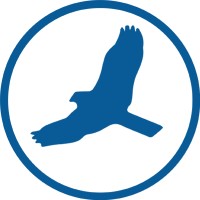 Hawksoft Logo